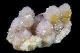 Cactus Quartz (Amethyst) Crystal Cluster - South Africa #132523-2